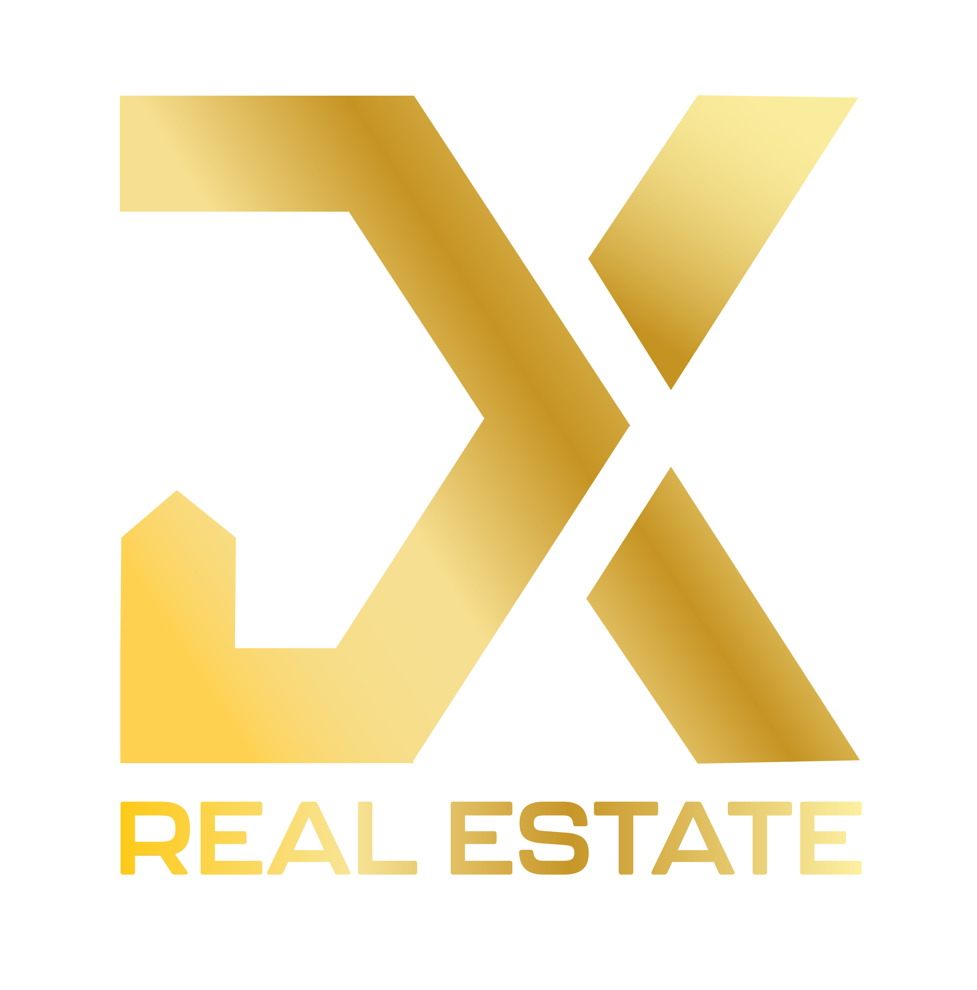 DX REAL ESTATE